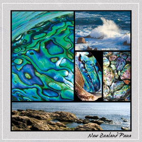 Glass Coaster New Zealand Paua - 1 Piece - NZ Dimensionz