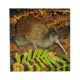 Kiwi Art Block Aotearoa