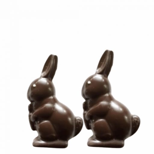 Dark Chocolate Bunny x 2 - Van H