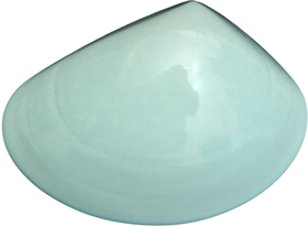 Ceramic Tuatua Wall Art - Bob Steiner