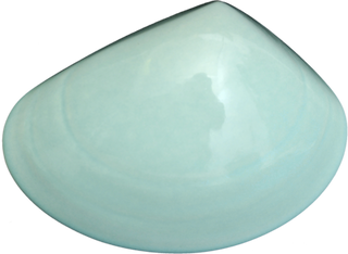 Ceramic Tuatua Wall Art - Bob Steiner