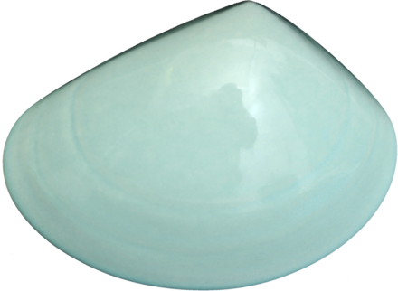 Ceramic Tuatua Wall Art - Bob Steiner