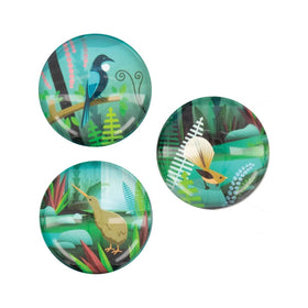 Acrylic Dome Magnet 3Pk - NZ Scene Birds & Bush - Parrs