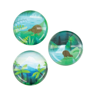 Acrylic Dome Magnet 3Pk - NZ Scene Kiwi - Parrs