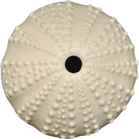 Ceramic Kina Art - Bob Steiner