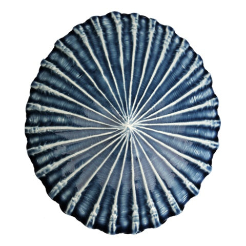 Limpet Wall Art - Bob Steiner