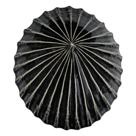 Limpet Wall Art - Bob Steiner