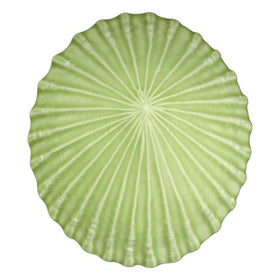 Limpet Wall Art - Bob Steiner