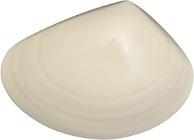 Ceramic Tuatua Wall Art - Bob Steiner