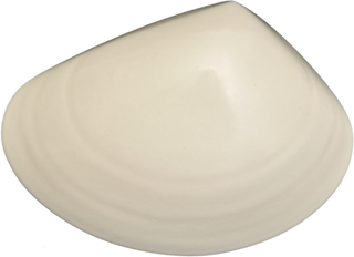 Ceramic Tuatua Wall Art - Bob Steiner