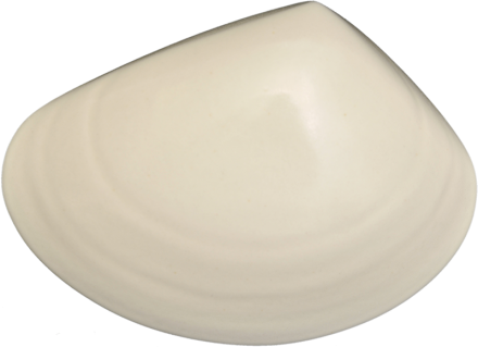 Ceramic Tuatua Wall Art - Bob Steiner