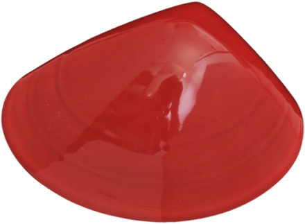 Ceramic Tuatua Wall Art - Bob Steiner