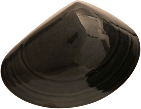 Ceramic Tuatua Wall Art - Bob Steiner