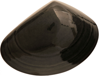 Ceramic Tuatua Wall Art - Bob Steiner