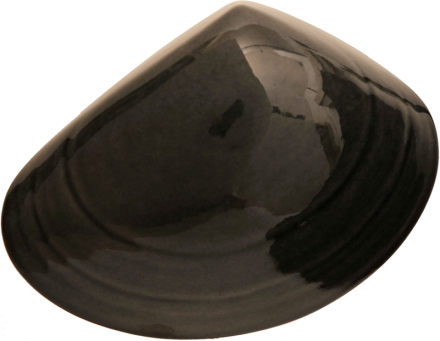 Ceramic Tuatua Wall Art - Bob Steiner