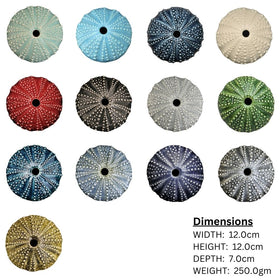 Ceramic Kina Art - Bob Steiner