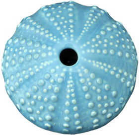 Ceramic Kina Art - Bob Steiner