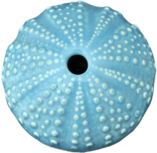 Ceramic Kina Art - Bob Steiner