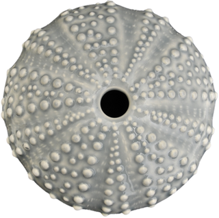 Ceramic Kina Art - Bob Steiner