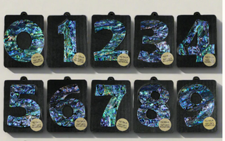 Paua Shell Numbers - Ocean Shell Studios