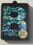 Paua Shell Letters - Ocean Shell Studios
