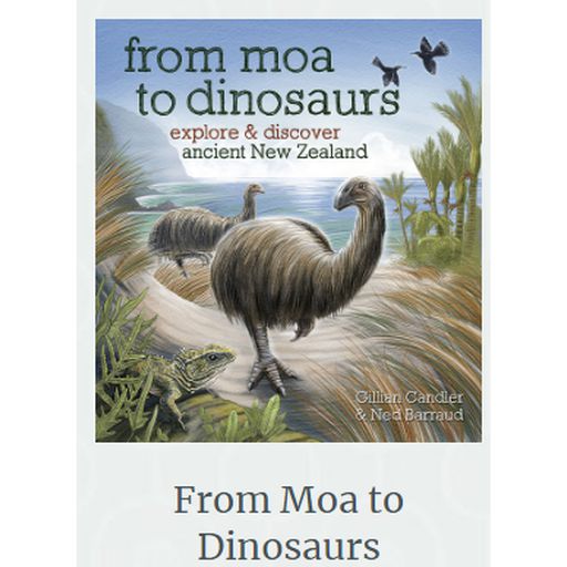 From Moa To Dinosaurs By Gillian Candler & Ned Barraud -  Bateman Books